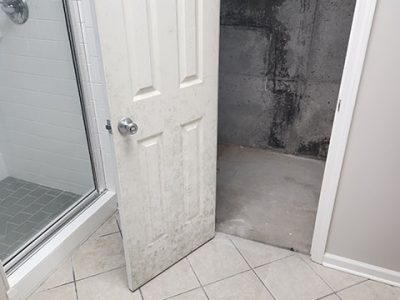 Home Mold Cleanup Services