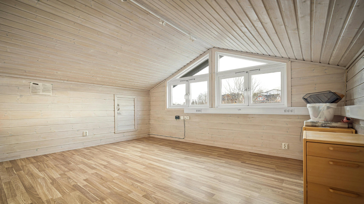 blog attic mold remediation